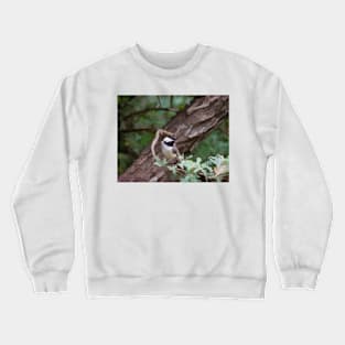 Carolina Chickadee On Photo Painted Trees Crewneck Sweatshirt